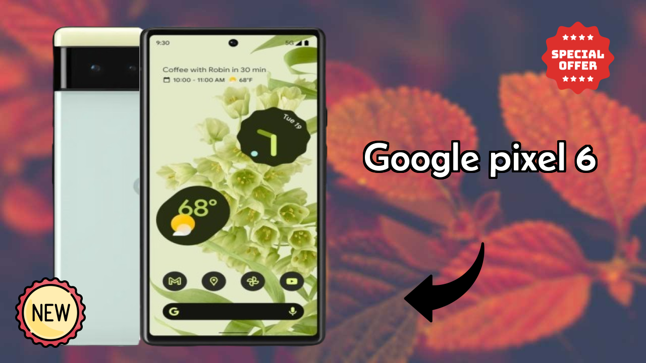Google Pixel 6 कैमरा क्वॉलिटी: 50 MP + 12 MP Rear Camera फोटो टेस्ट